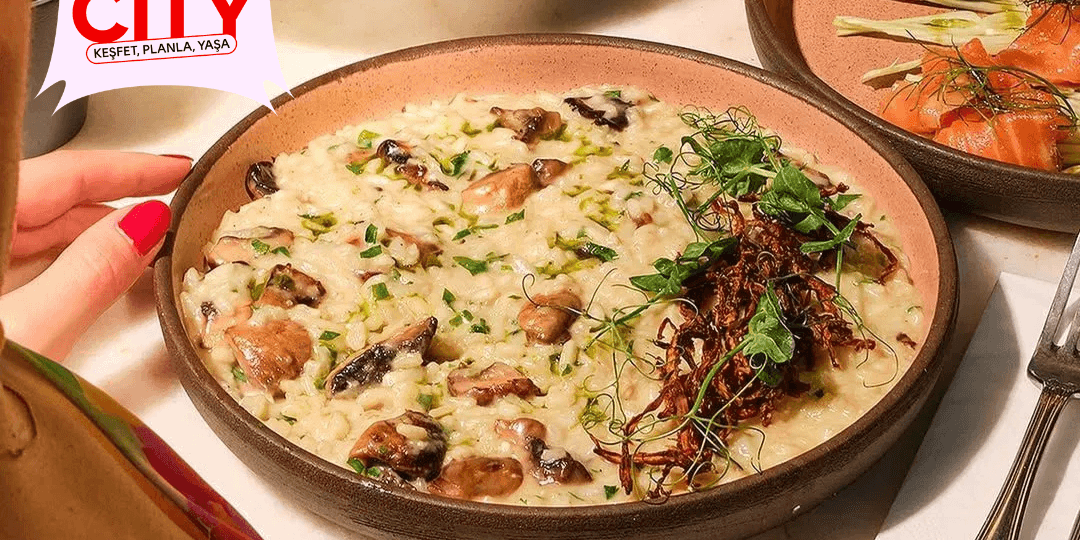 cotto-gastro.png