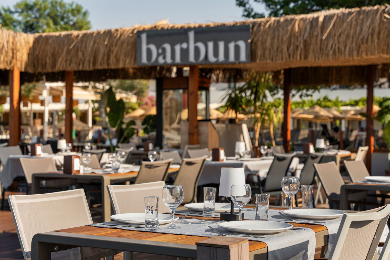BARBUN (3).jpeg