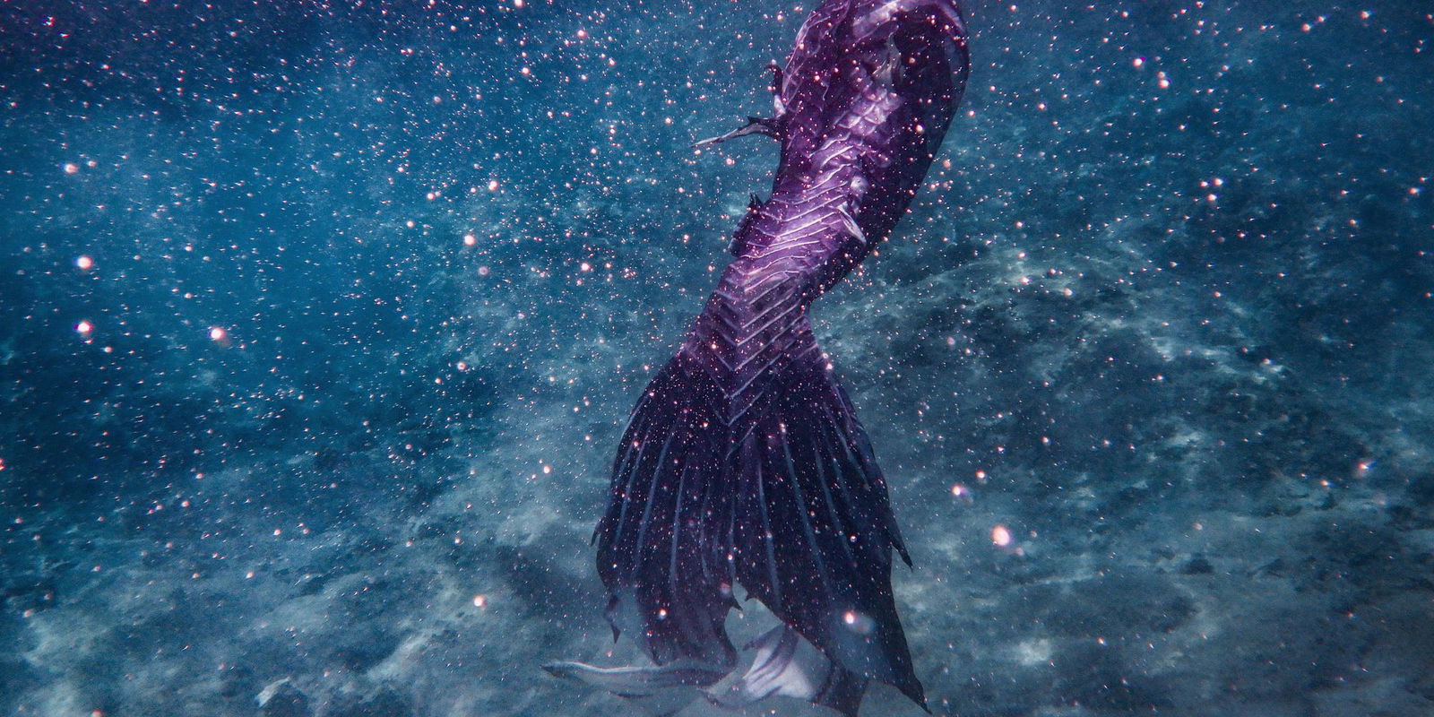 Mermaid-tail-1334106485_2003x1502.jpeg