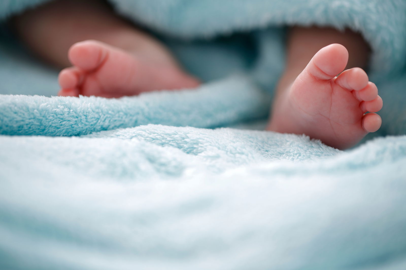 Photo-of-newborn-baby-feet-905836496_5760x3840.jpeg