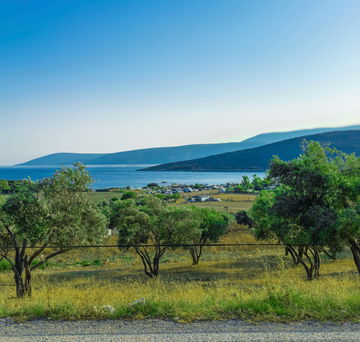 Zeynep’in Urla Üçgeni